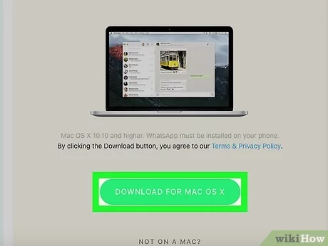Install Whats App Mac